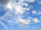 lucht en vogel